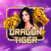 Dragon Tiger on phpwin
